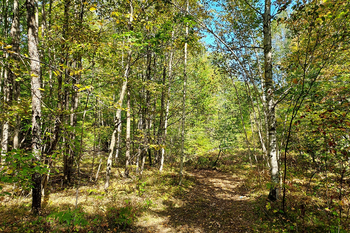 2.6 Acres For Sale in Silver Cliff, WI Hunt, Fish, Camp! 4Rivers Realty
