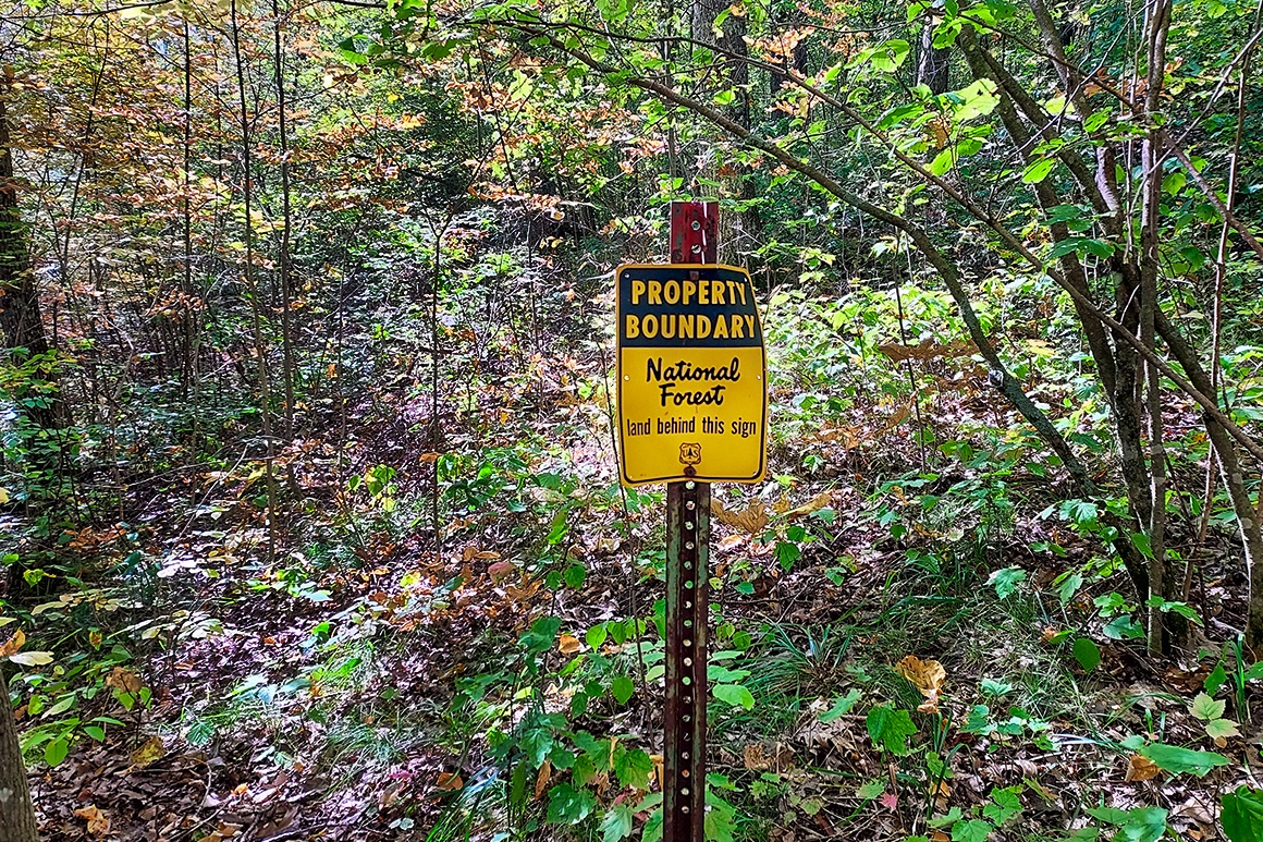 5Acre County Land Next to Nicolet National Forest