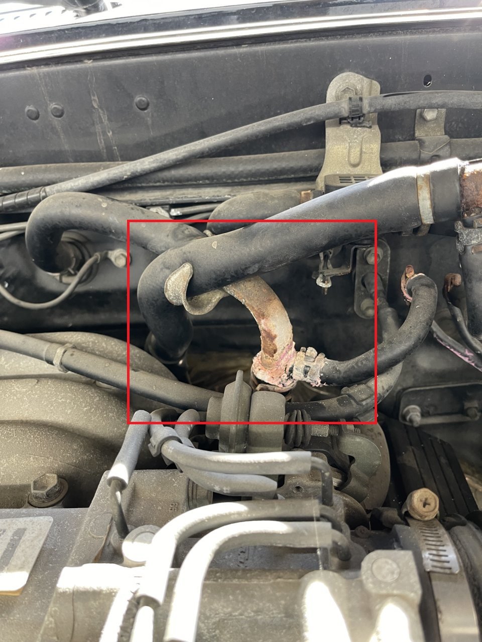 Missing Coolant/Heater Pipe Connector | Toyota 4Runner Forum [4Runners.com]