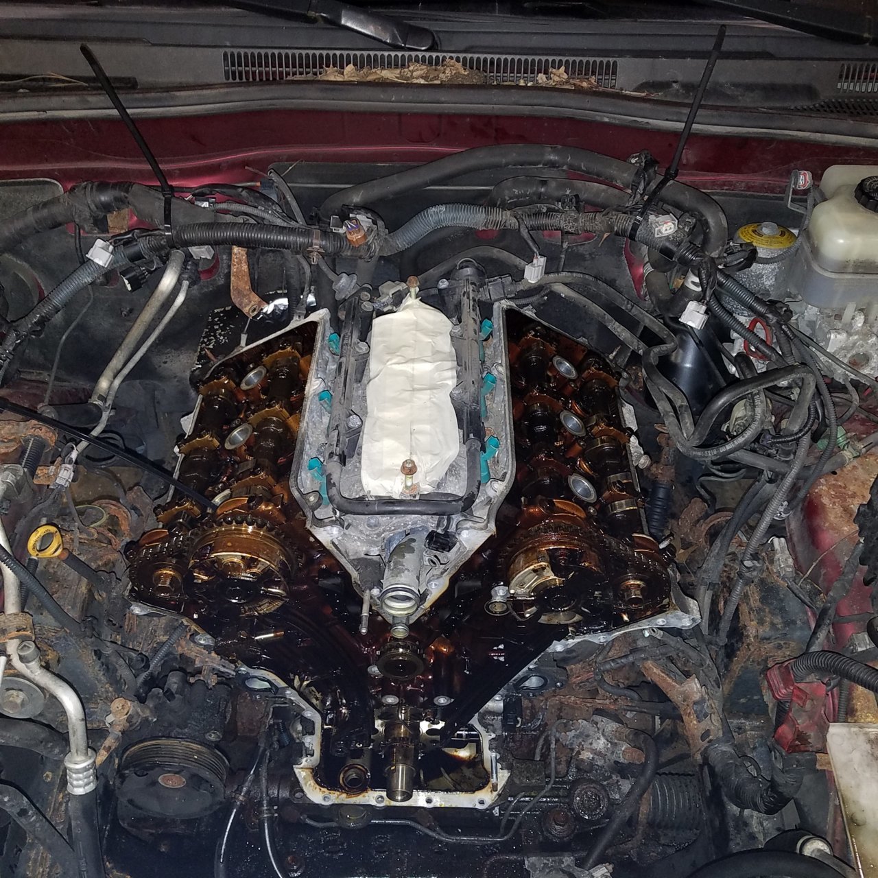 What have you done to your 5th Gen 4Runner today? | Page 76 | Toyota