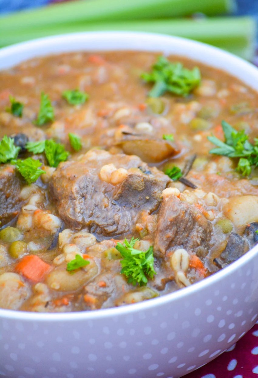 Beef&BarleyStew8 4 Sons 'R' Us