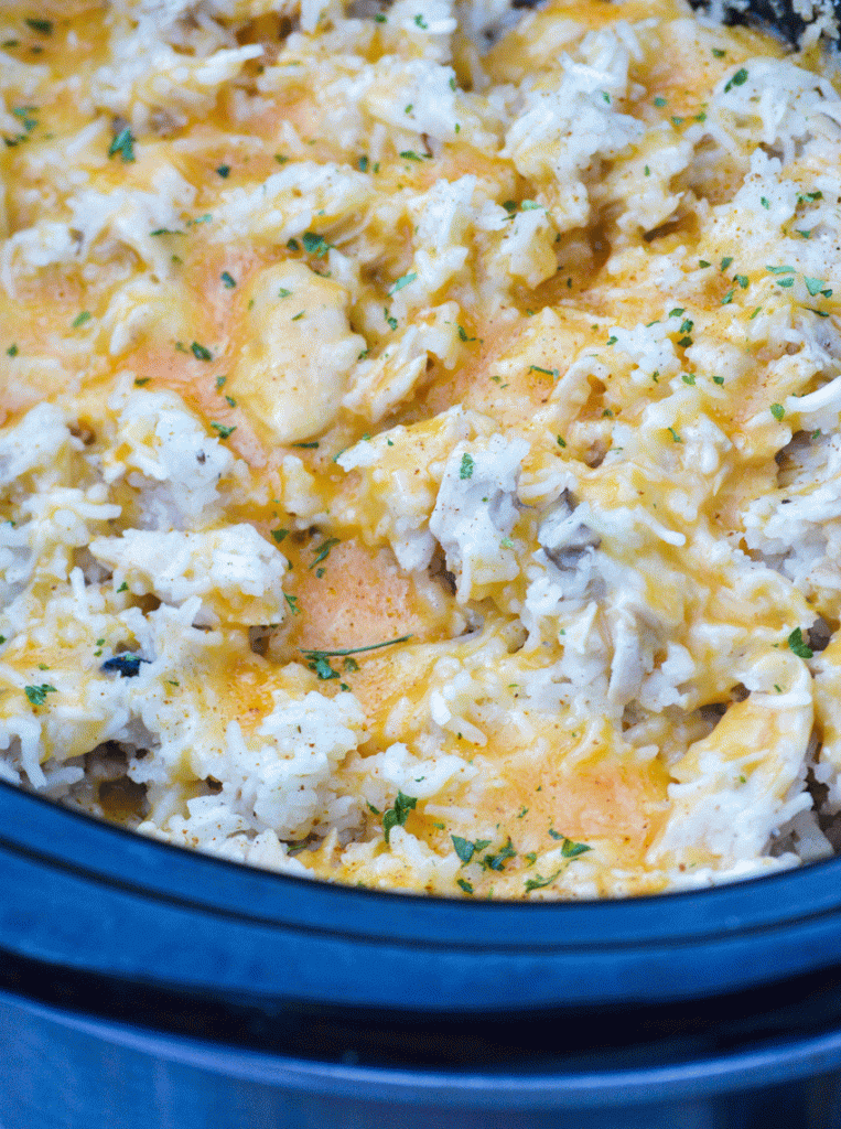 Crockpot Pork & Rice 4 Sons 'R' Us
