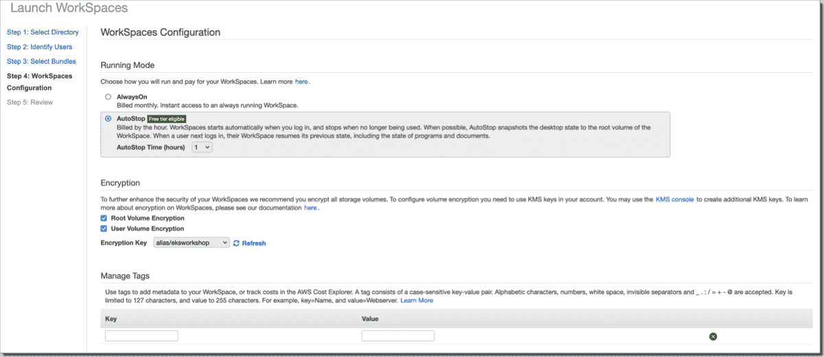 Install Amazon WorkSpaces Virtual Linux or Windows desktop in AWS