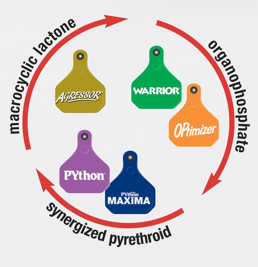 Fly Tag, Tick & Lice Control Strategies For Cattle & Horse Owners