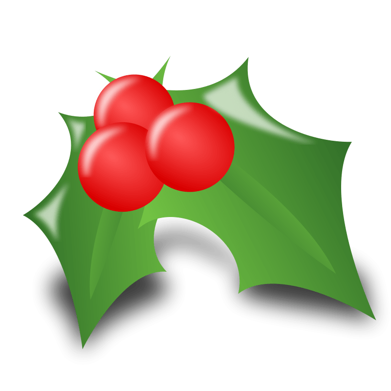 Christmas Icon (101891) Free SVG Download / 4 Vector