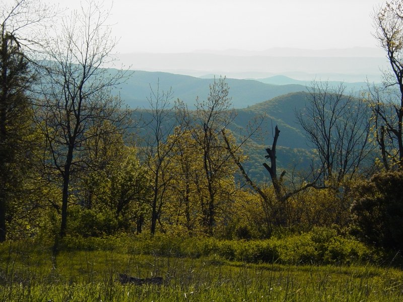 4x4 Icon Switzer Dam, Dunkle Hollow, Flagpole & Meadow Knobs, Old