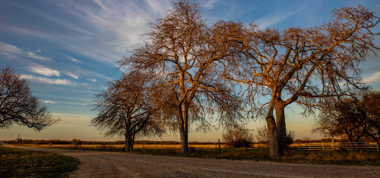 Home Cinco Ranch South Texas Hunting & Fishing El Indio, Texas