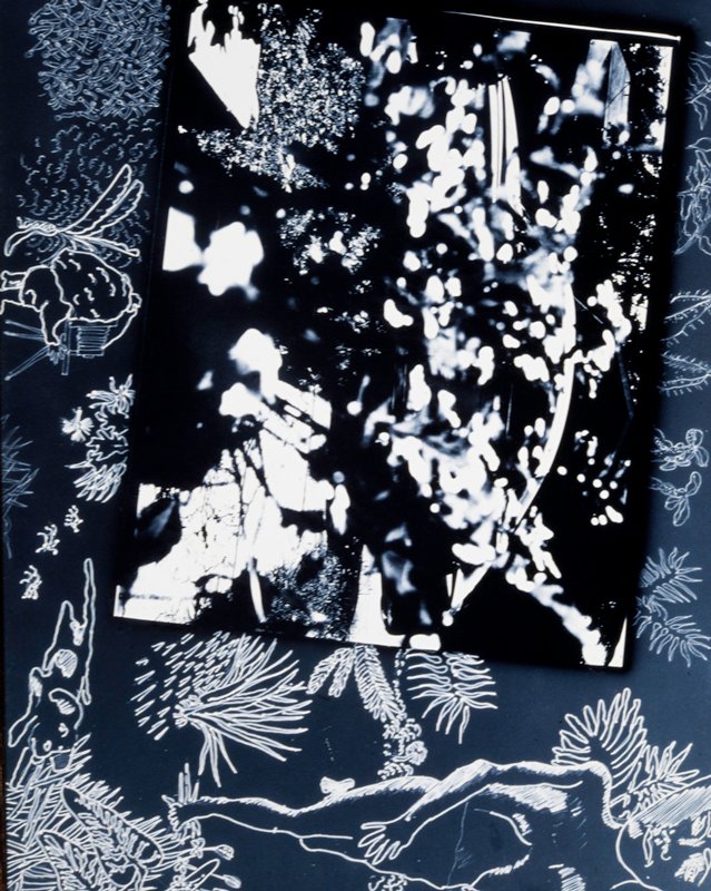 The Machine in the Garden, Robert W. Fichter Mia