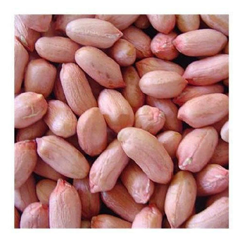 Dry Groundnuts, Rs 90 /kilogram Sethi Food Industries ID 14756369912