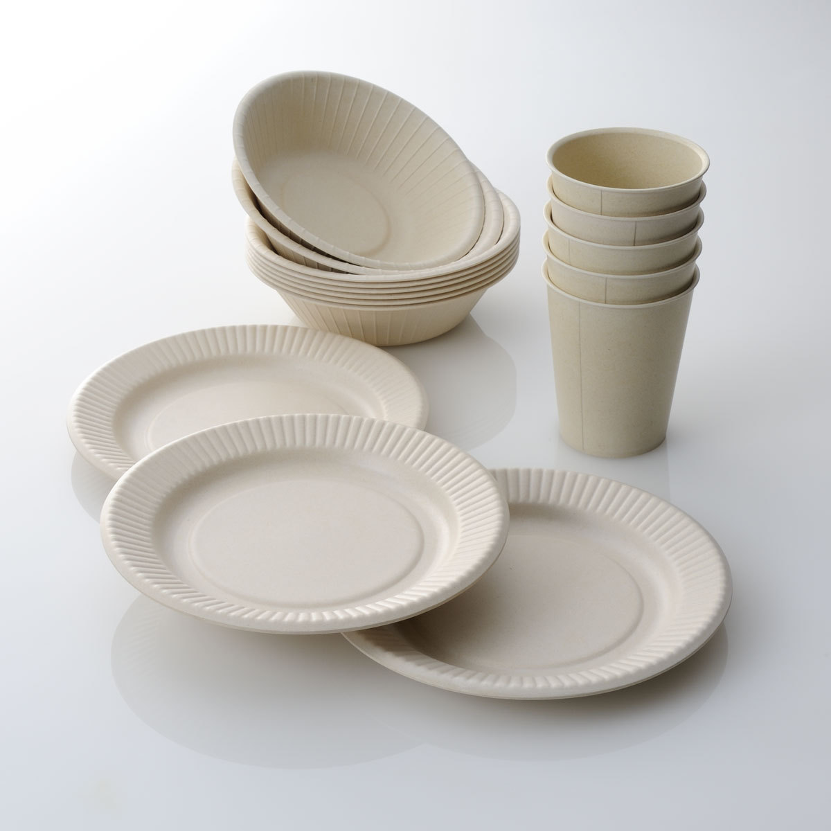 Brown Biodegradable Disposable Tableware, Rs 2.5 /piece Picasso Print