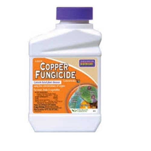 Liquid Copper Fungicide, 473 Ml, Ocean Fertilizer & Chemicals ID