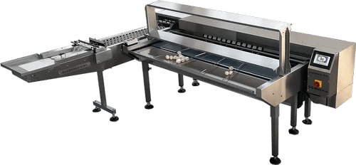 Egg Grading Machine Anda Grading Ki Machine Latest Price