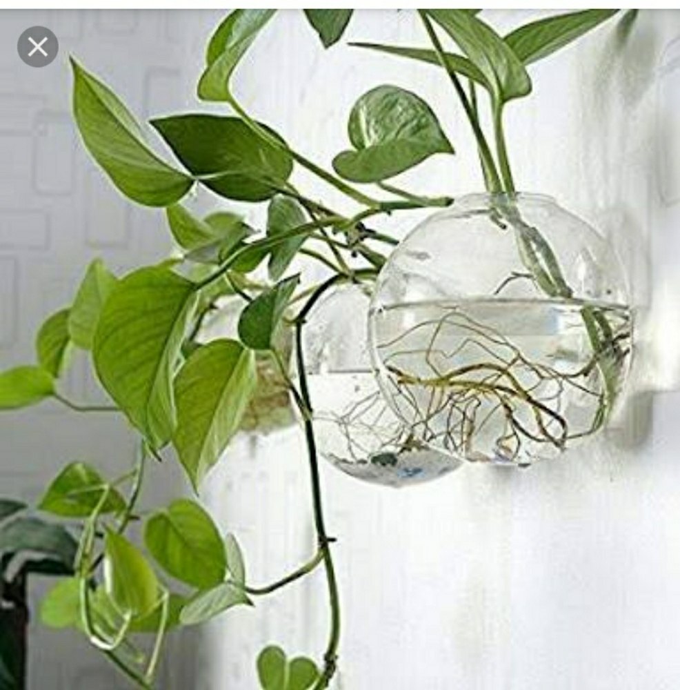 White Clear Glass Flower Planter Vase Terrarium Container, For Home