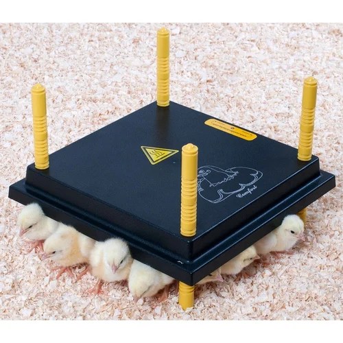 Chick Brooder and Chick Guard Brooder Guard Latest Price