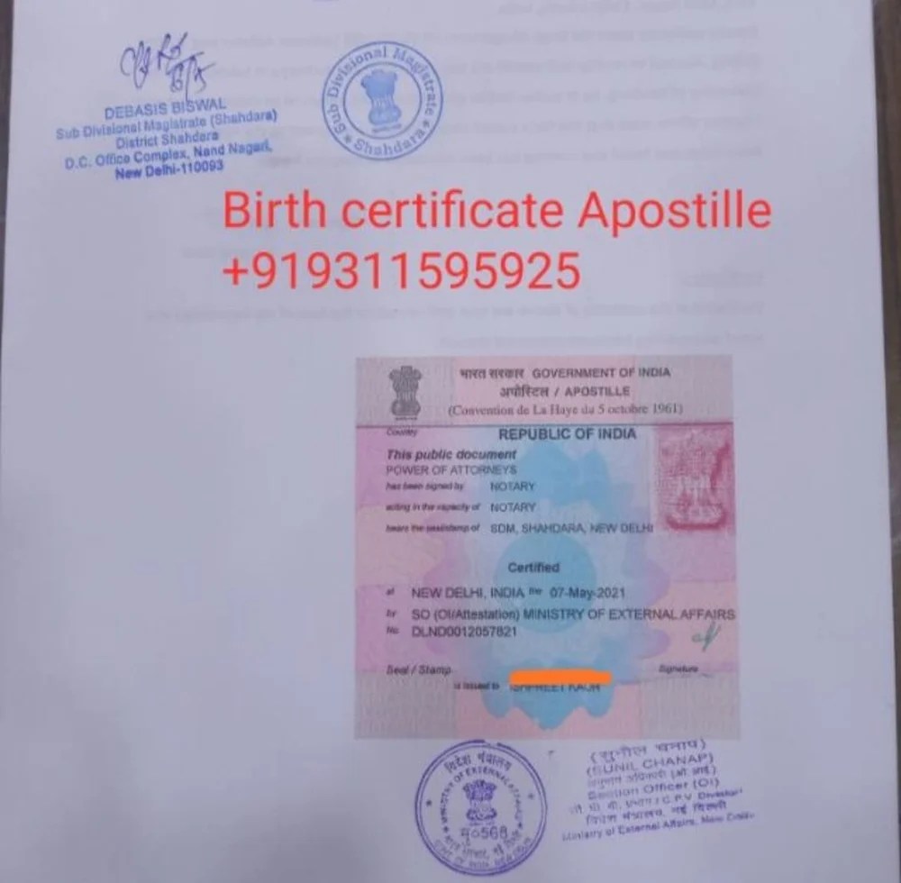 How To make single status certificate Apostille at best price in Gautam