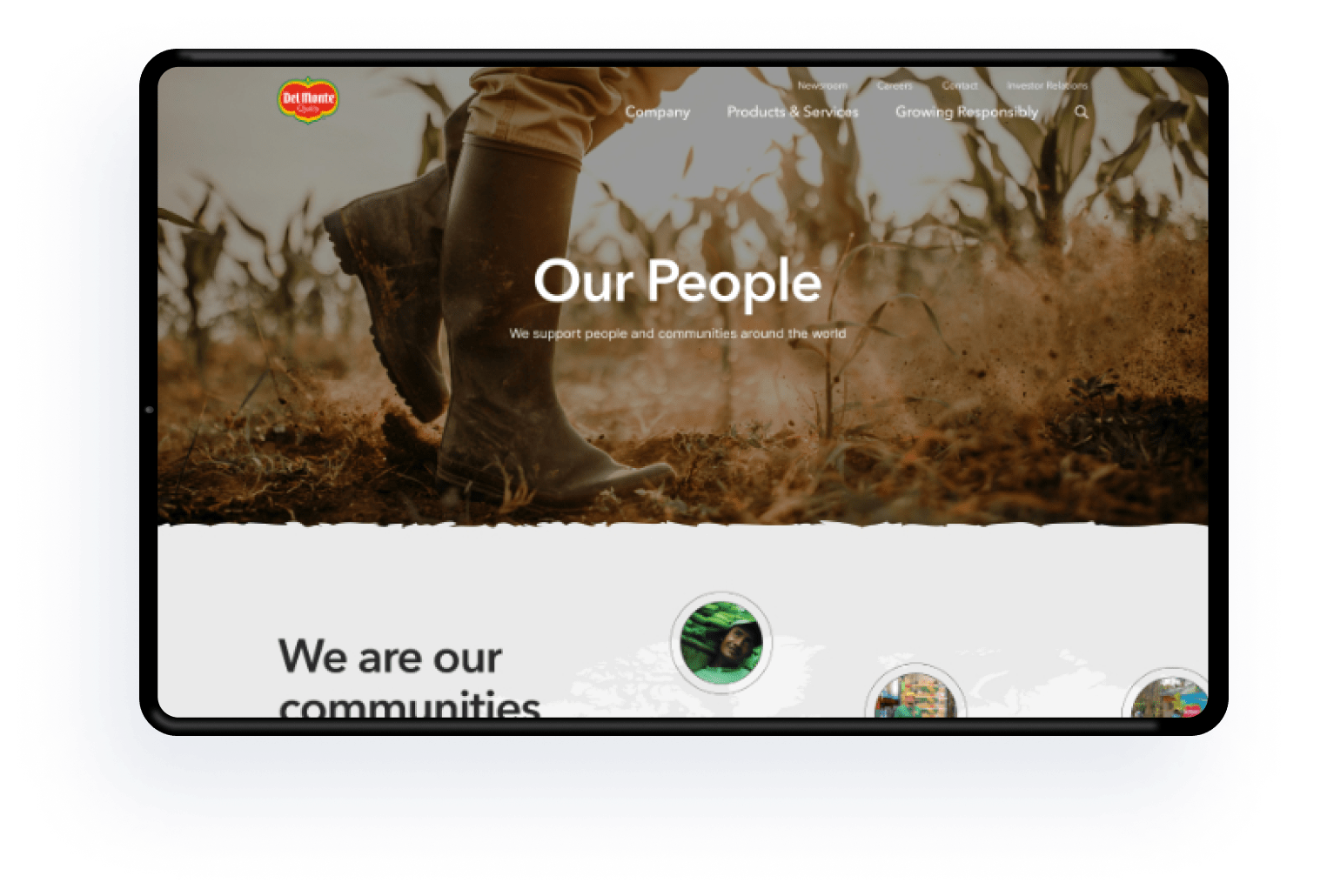 Fresh Del Monte 500 Designs