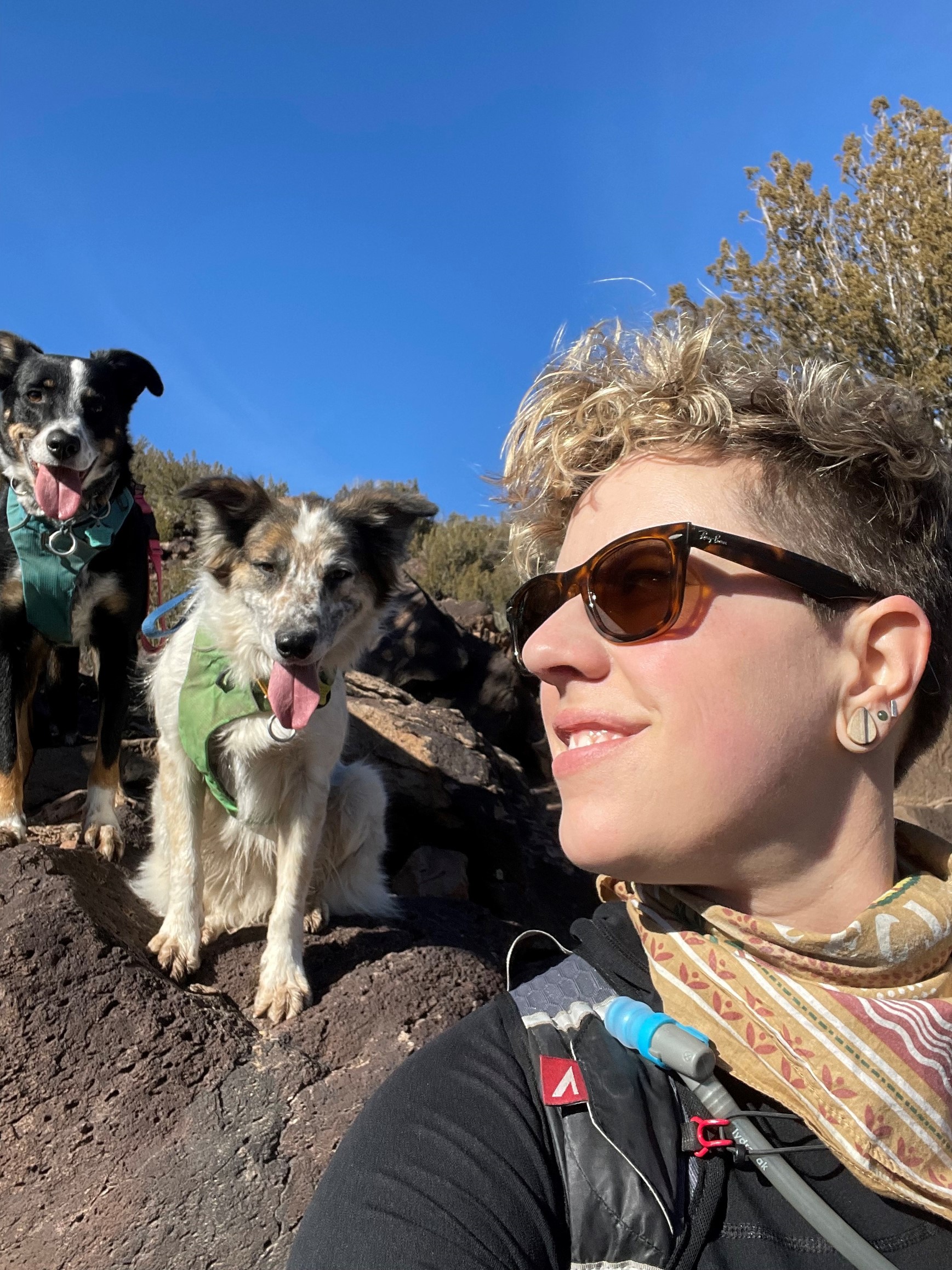 Britt Edquist 500 Queer Scientists 500 Queer Scientists