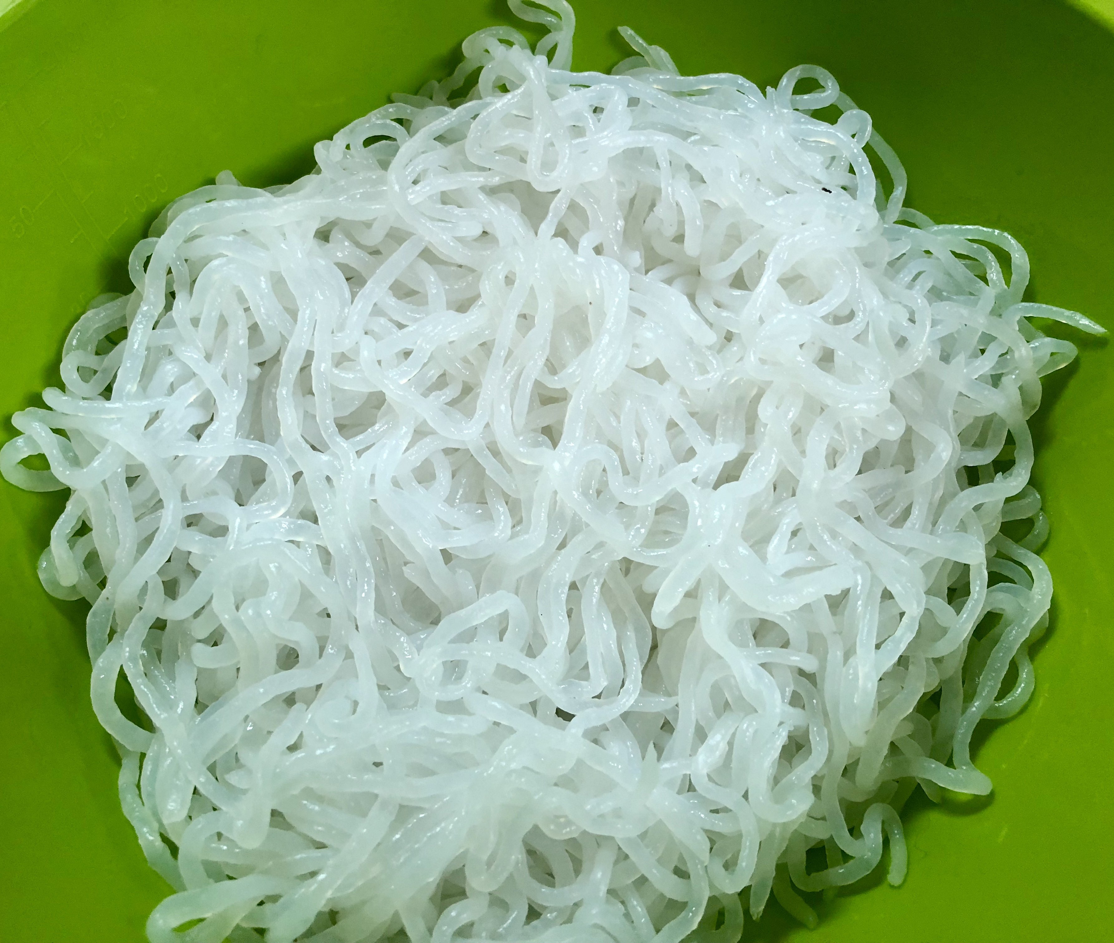 What the Heck are Shirataki Noodles and Why Should I Care? 500 Spatulas