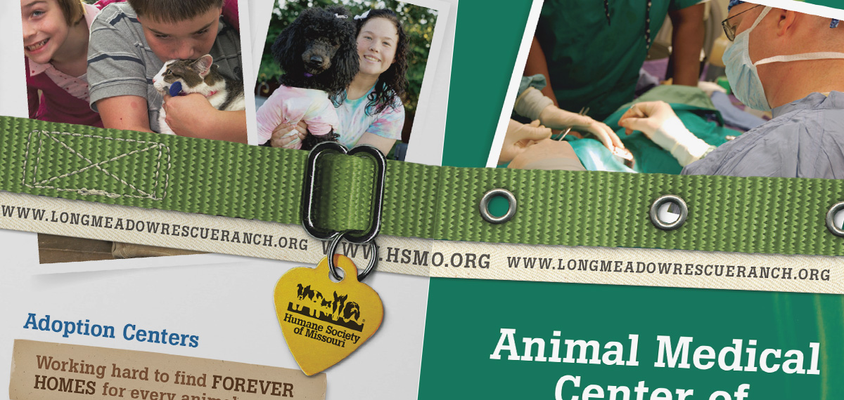 Humane Society of Missouri 501creative