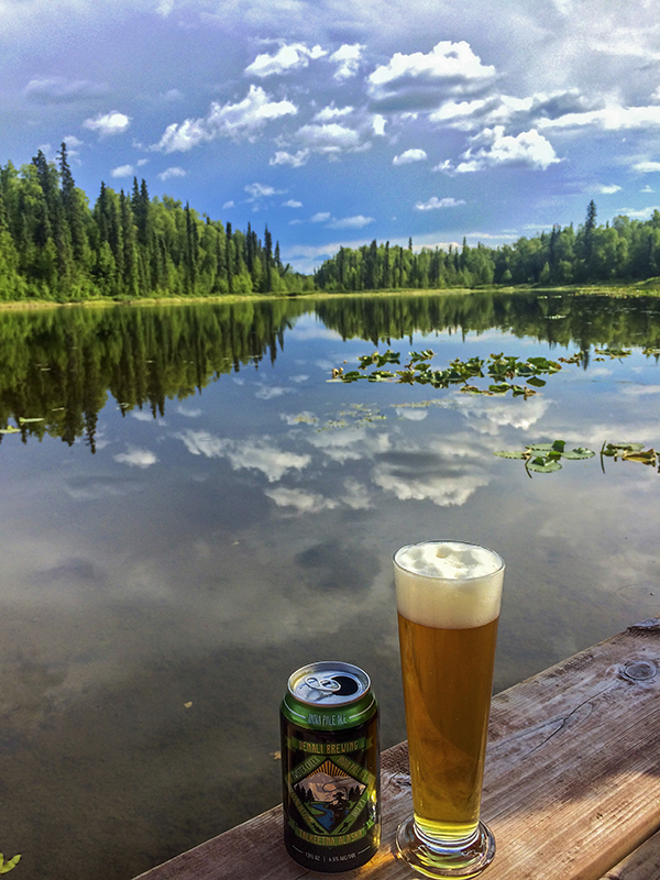 In The Can Denali Brewing Company Talkeetna, AK 50 Campfires