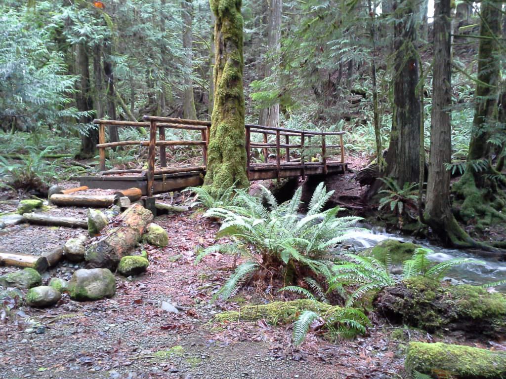 25 Best Campgrounds Within Two Hours of Seattle WA 50 Campfires
