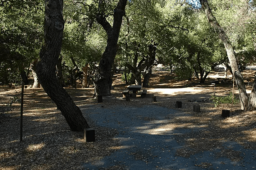 25 best campgrounds within 2 hours of Riverside San Bernardino CA