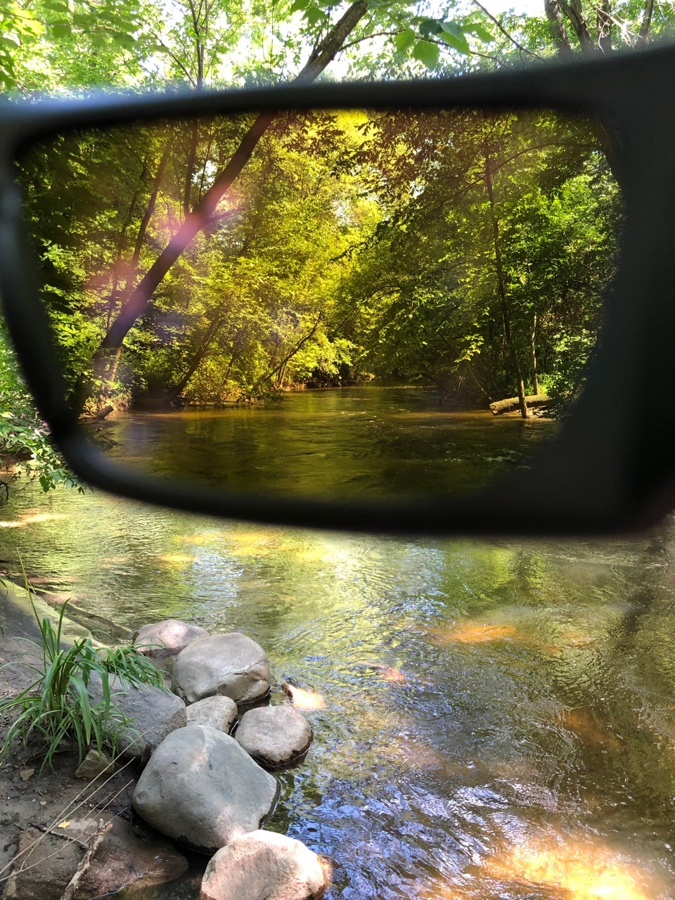 Wiley X Sunglasses Review 50 Campfires ⋆ Survival Skillz