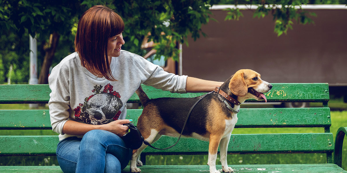 Jackson Opens First Dog Park 517 Magazine