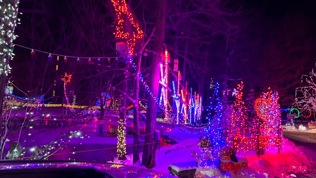 ERDAJT Holiday Christmas Display 518 Bites & Sights