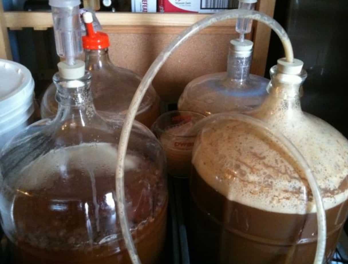Beer Yeast Guide for Beginners All the Different Types & Strains