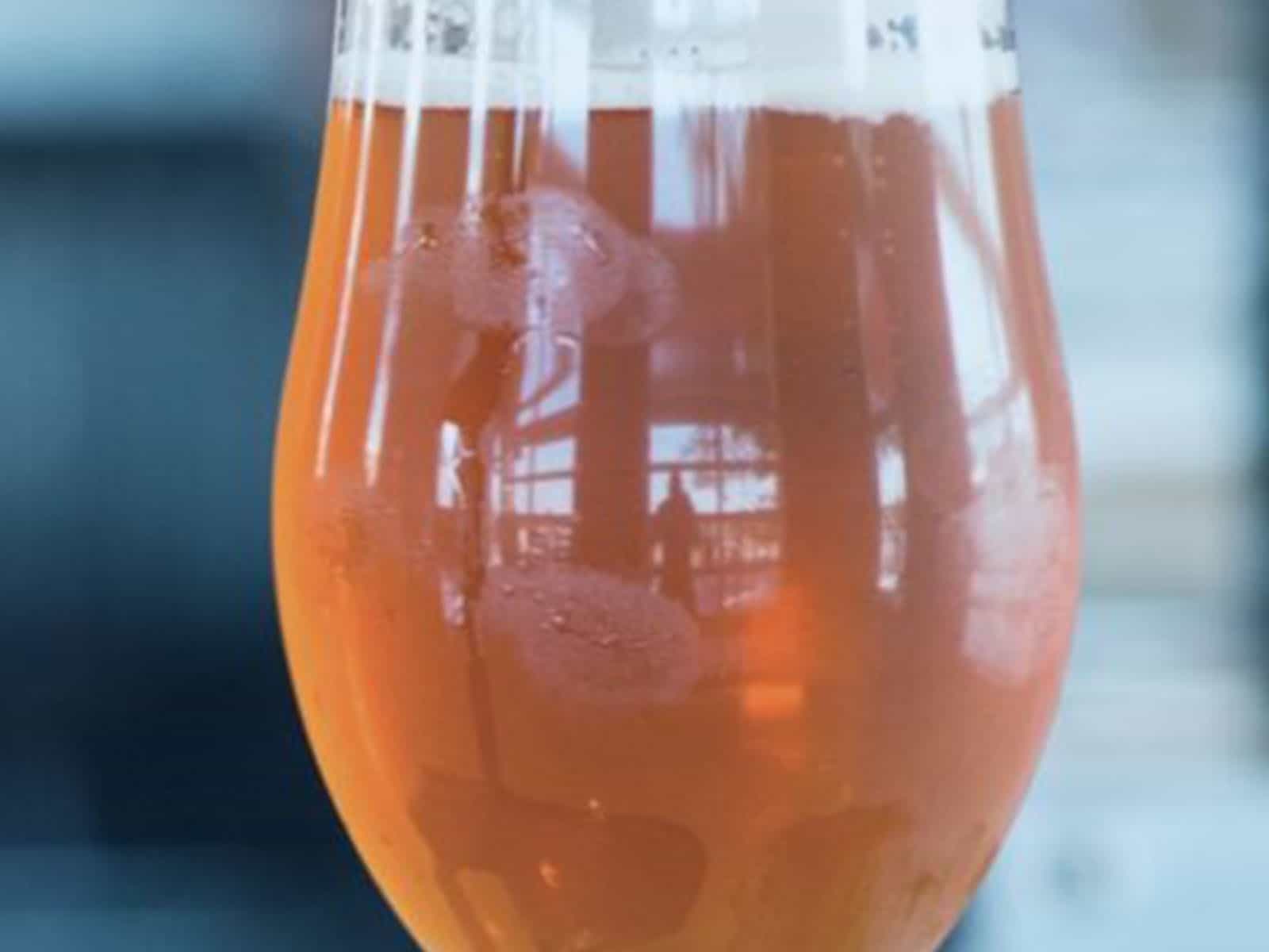 15 Best Lager Beers of All Time Ranked 52Brews