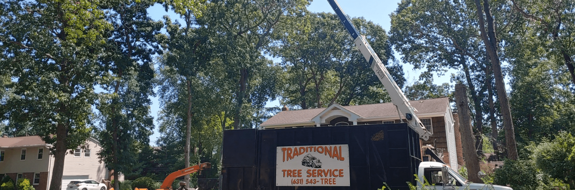 Traditional Tree Service
