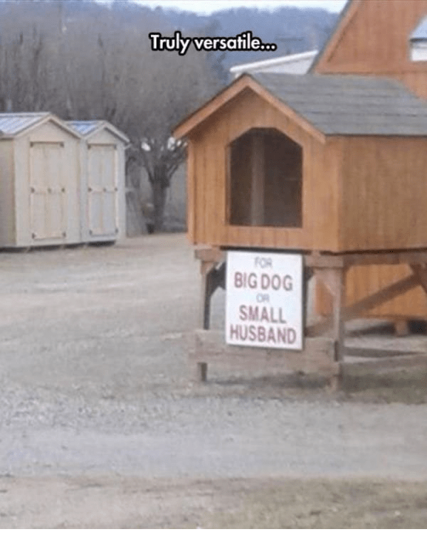 The Friday Funnies '56 Packard Man