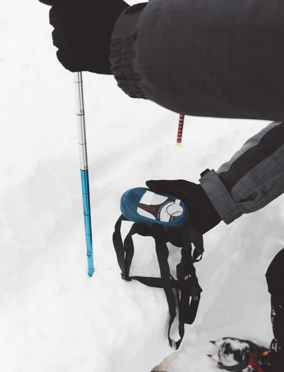 AIARE Level 1 Avalanche Course in Vail, CO 57hours