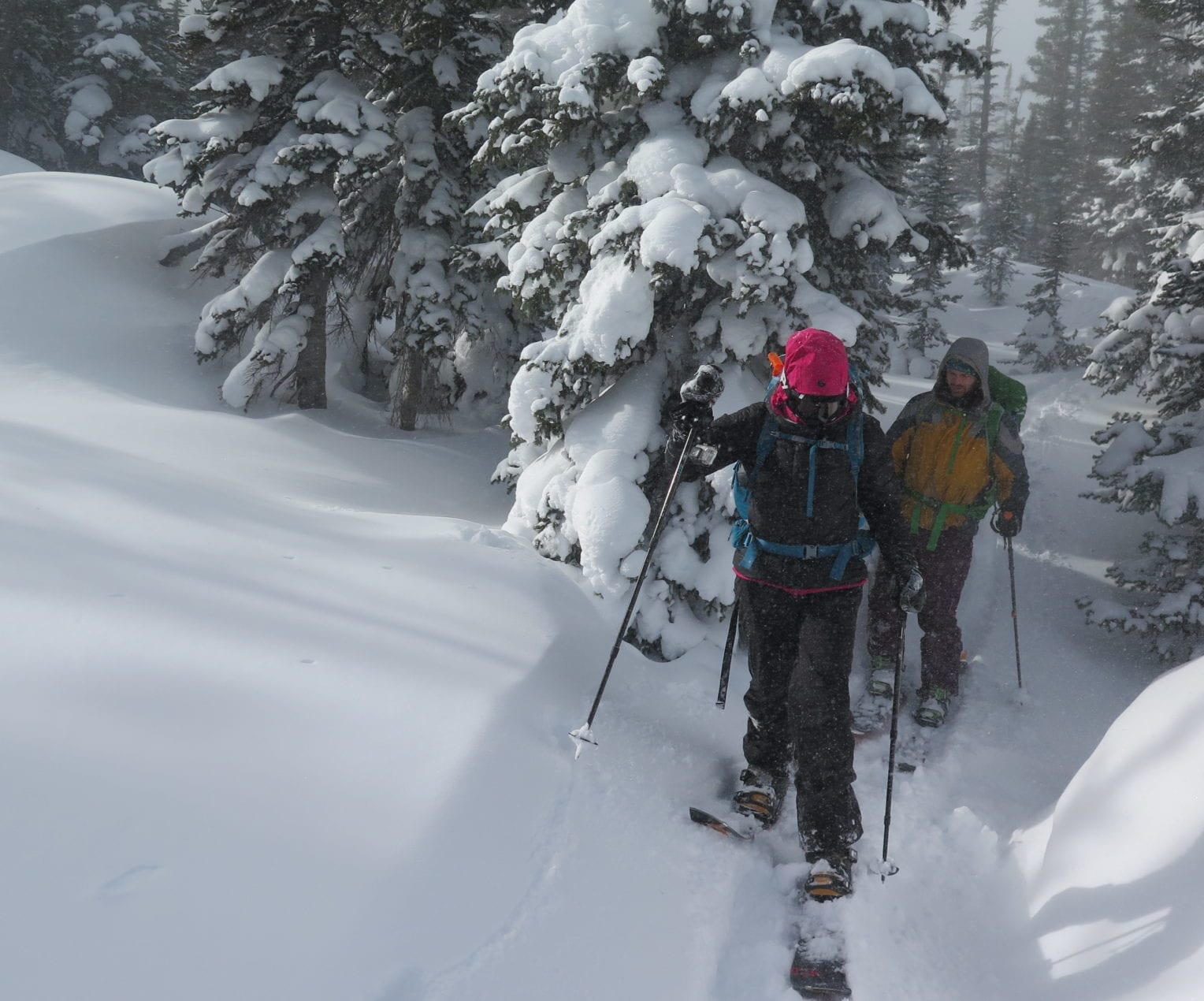 AIARE Level 1 in Rocky Mountain National Park 57hours