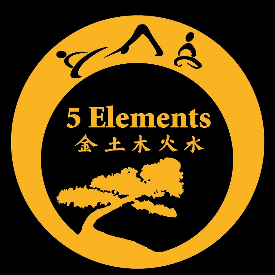Contact Us 5 Elements Martial Arts & Wellness Center