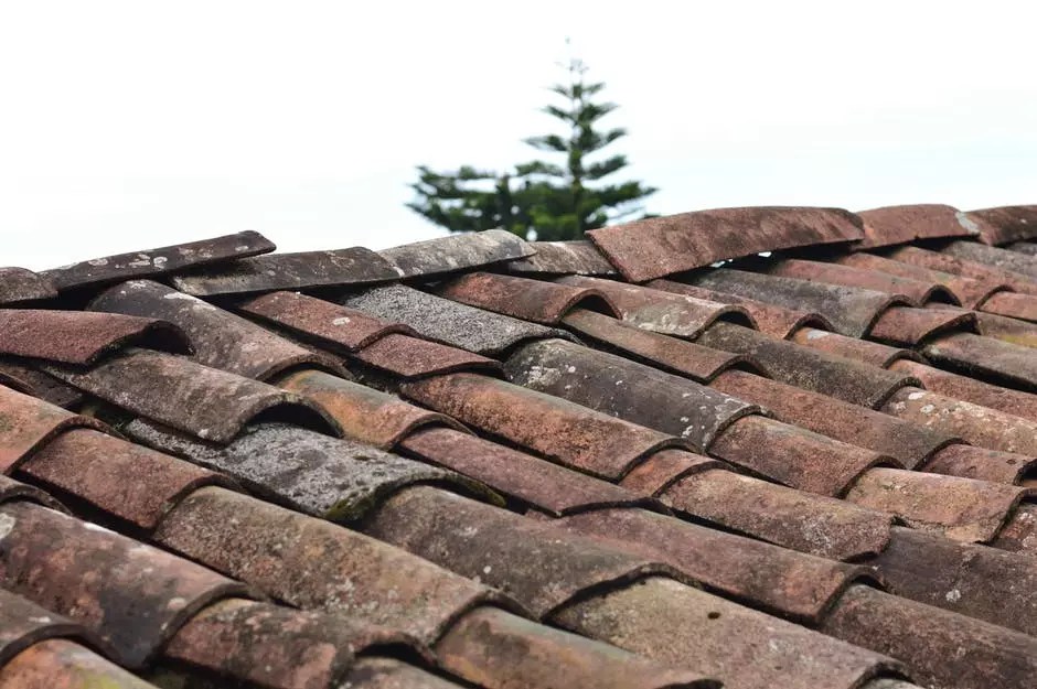Cost For Roof Replacement Online Roof Design