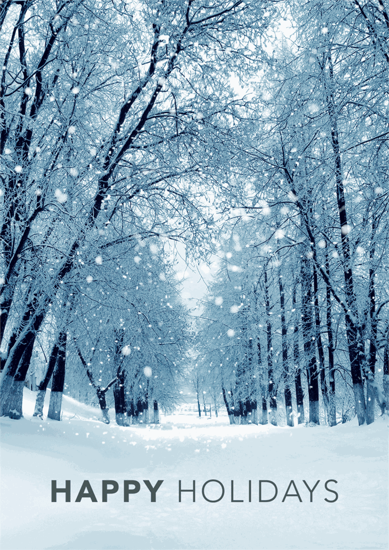 D2549 Snowy Winter Path Holiday Greeting Cards 5 5/8 x 7 7/8"