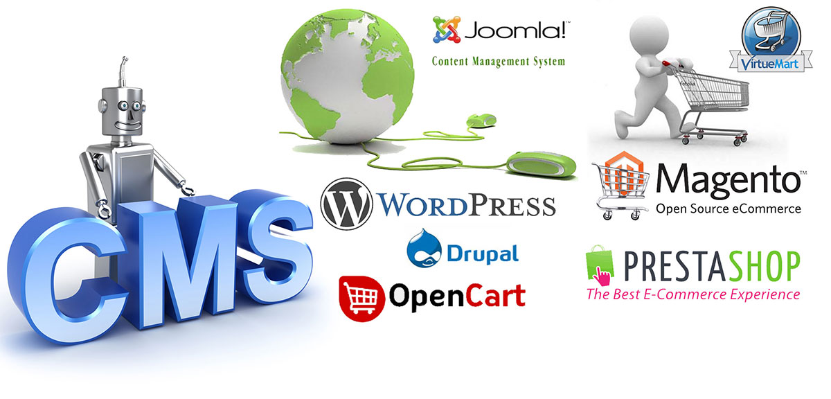 CMS Website Design & Development Company Singapore