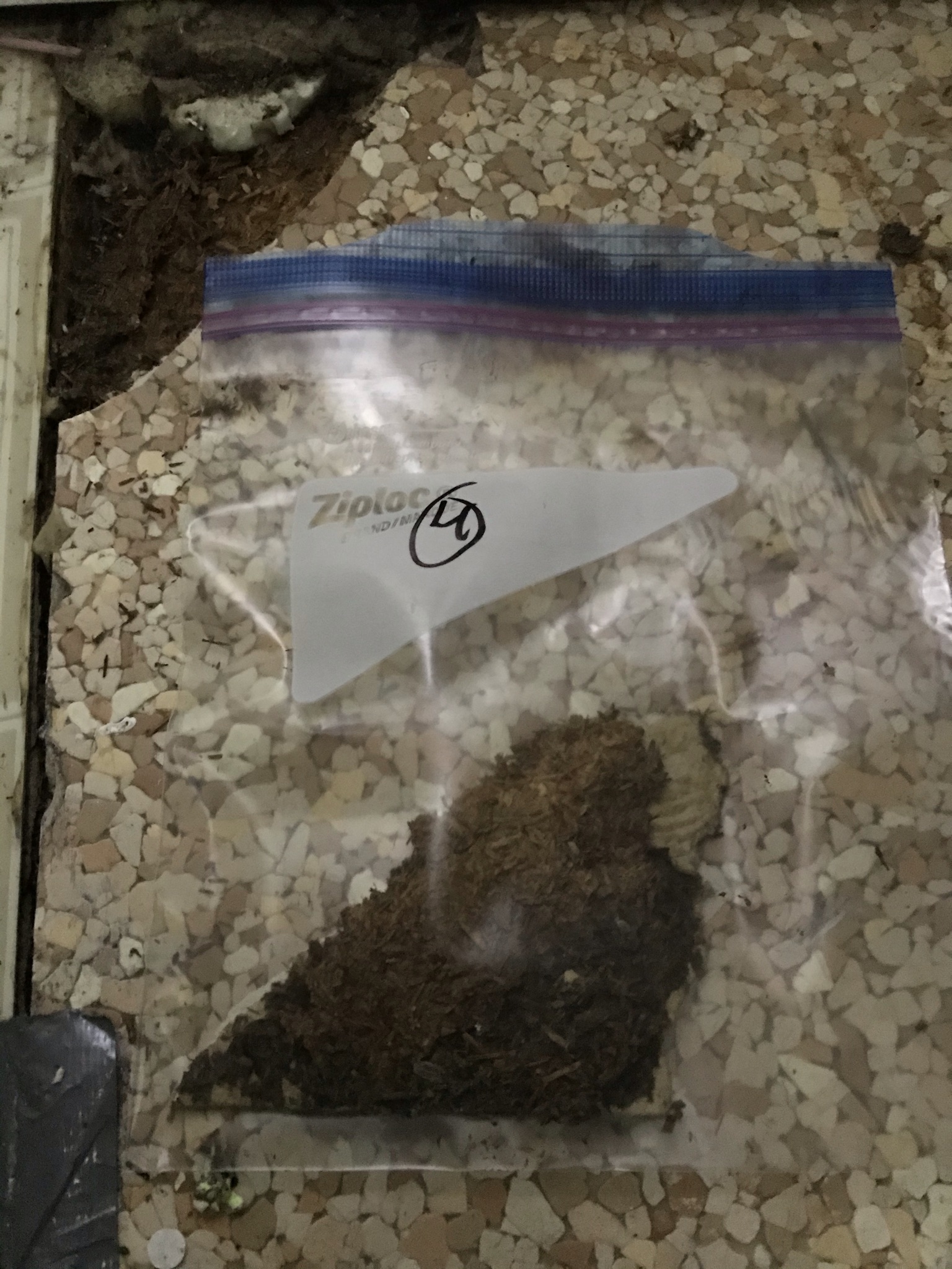 What Method Is Used To Detect Asbestos? 5 Microns Inc