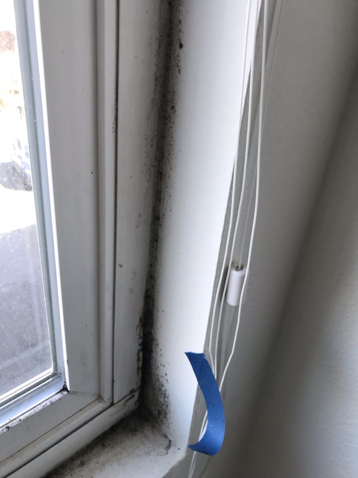 Are Home Mold Test Kits Accurate? 5 Microns Inc