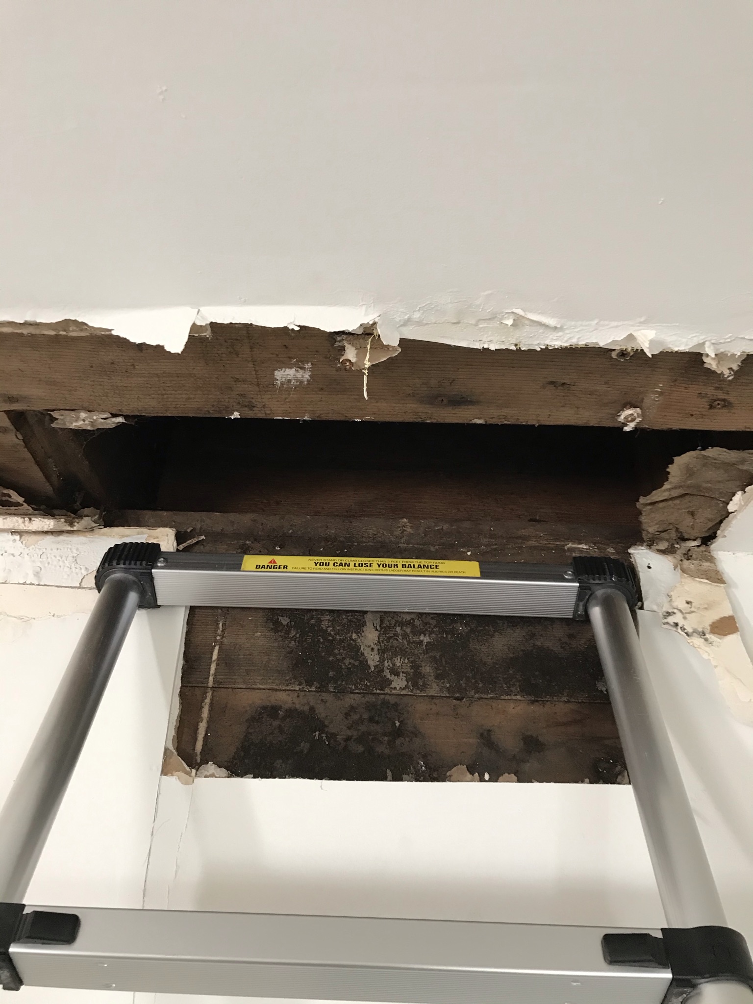 How Do You Know If Mold Is Making You Sick? 5 Microns Inc