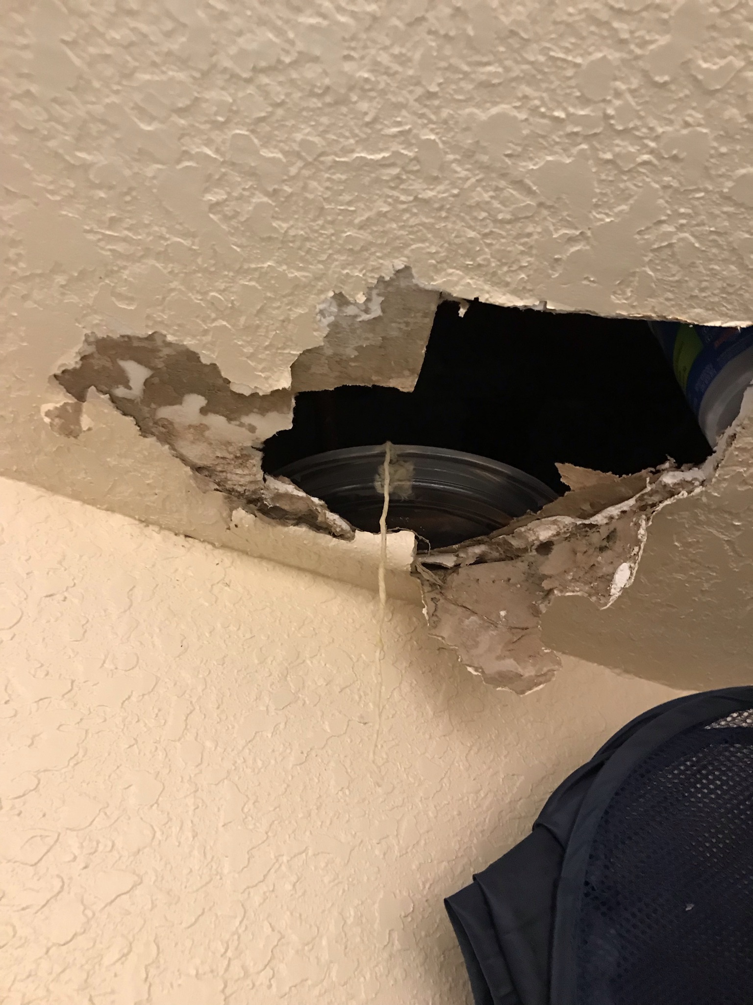 Can you do a mold test yourself? 5 Microns Inc