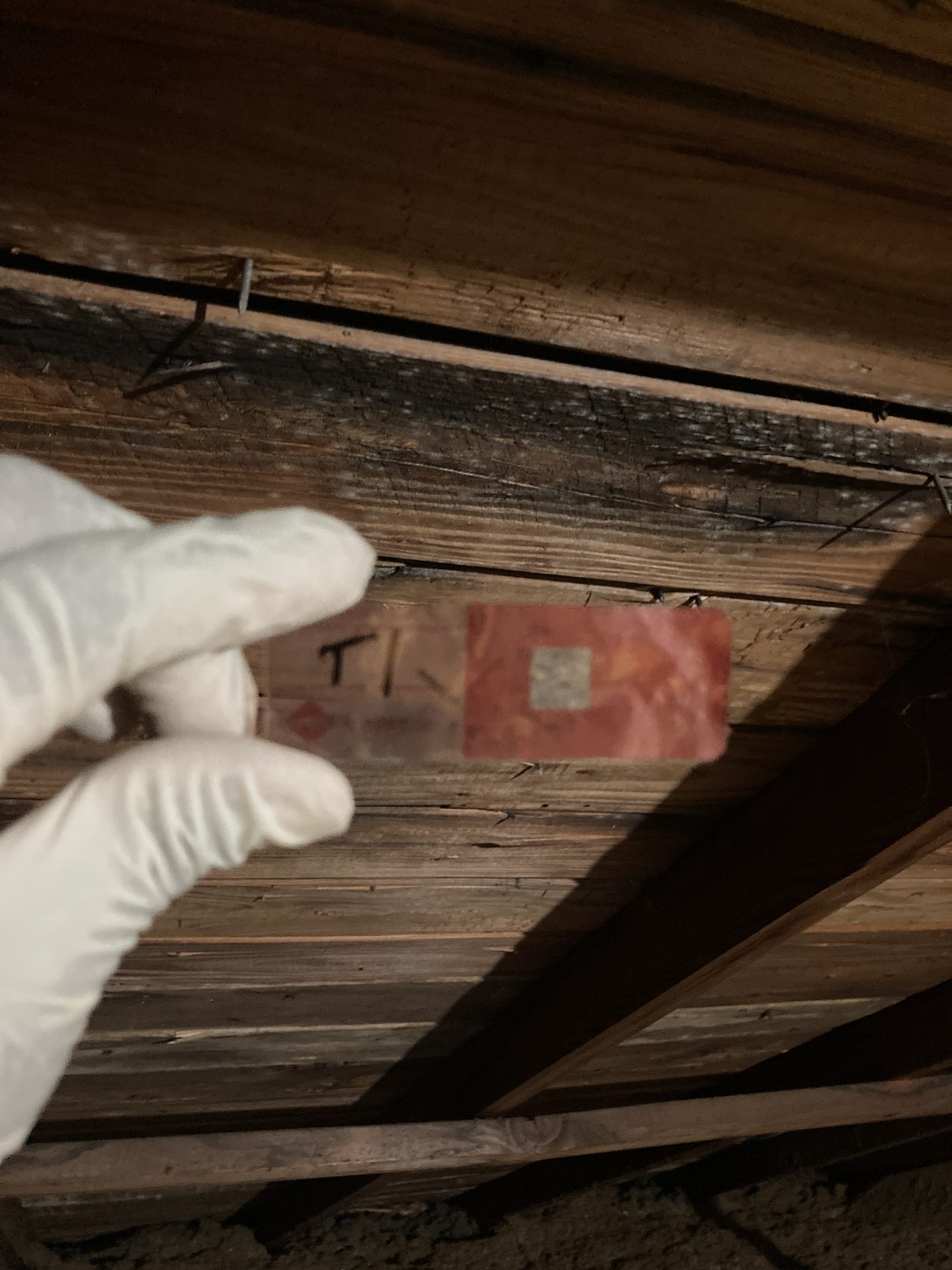 Mold Testing Lab—How do you test for mold in your house? 5 Microns Inc