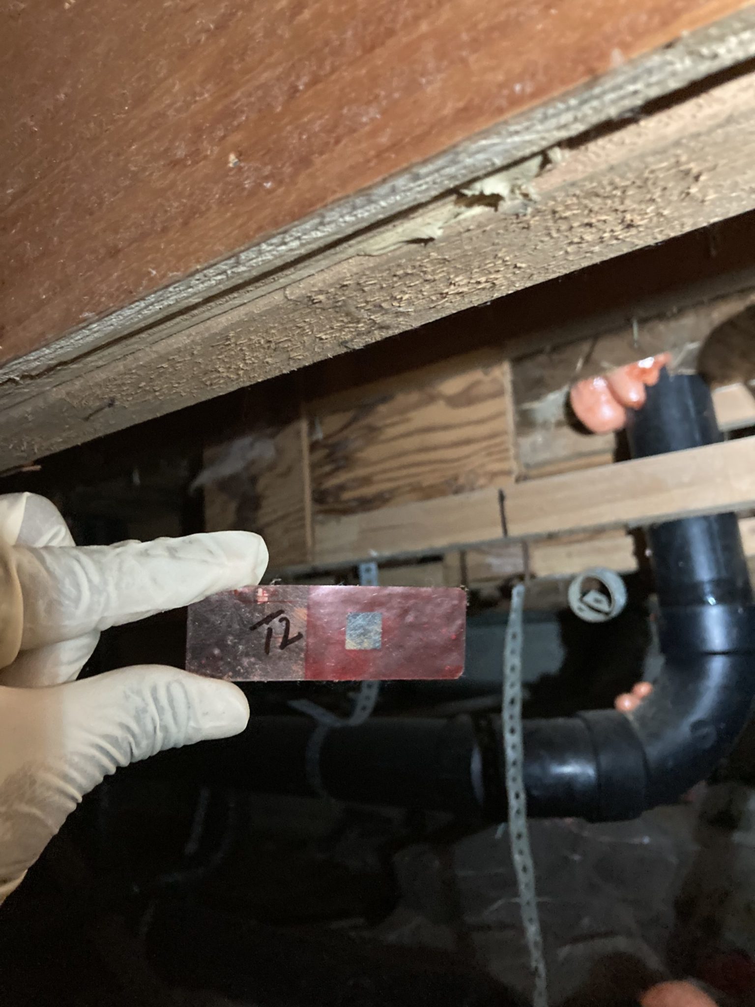 Mold Testing LabHow do you know if mold is making you sick? 5