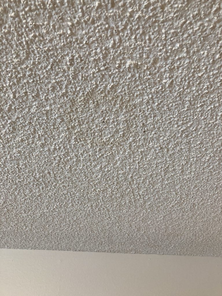 Asbestos testing lab—Can you test popcorn ceilings for asbestos? 5