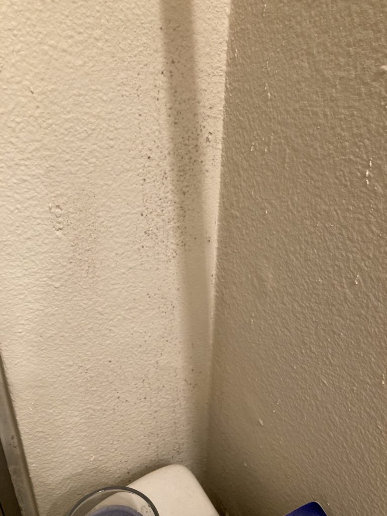 How do you test for lead paint in your home? 5 Microns Inc