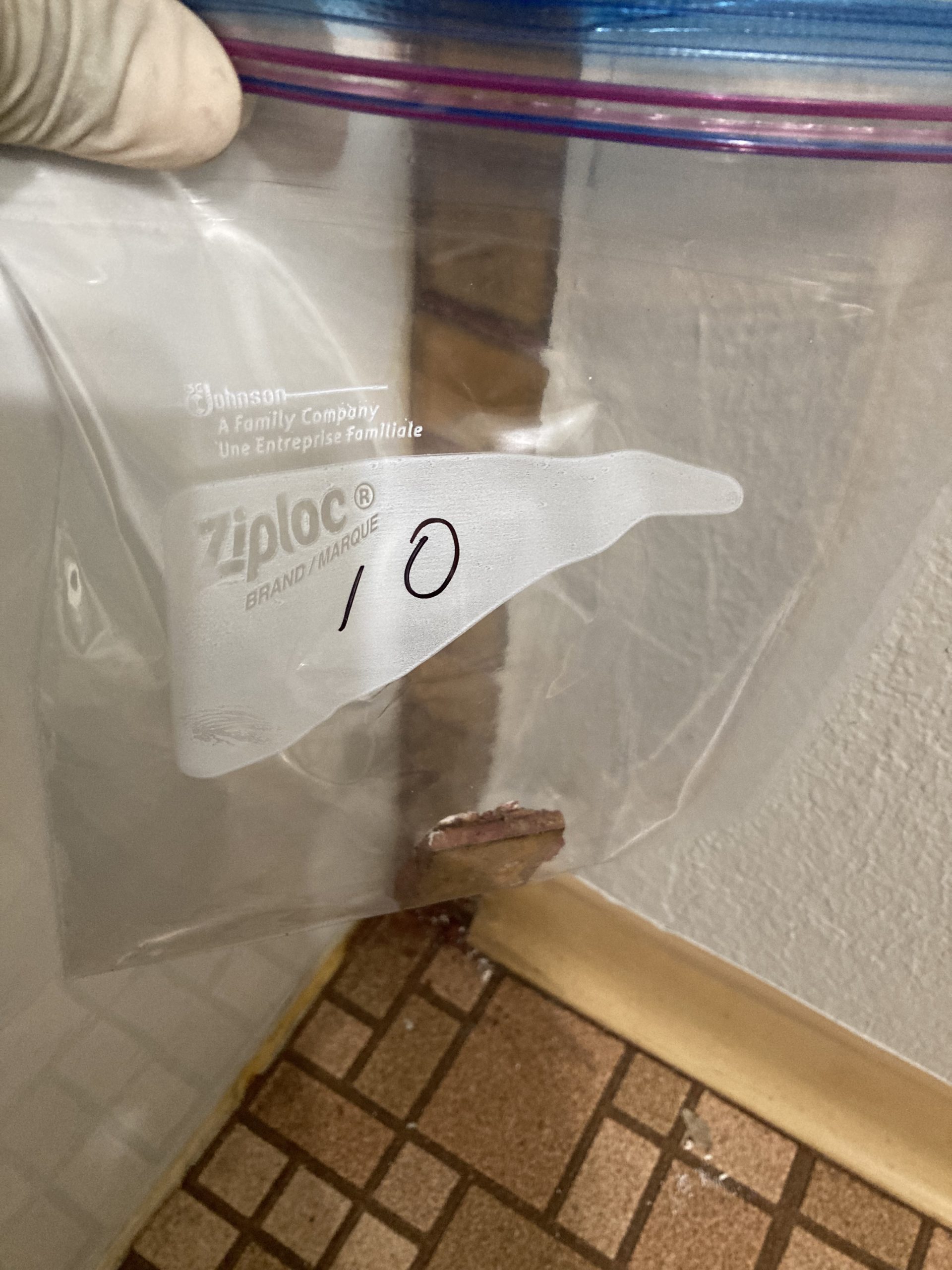 Asbestos testing lab—How do you test popcorn ceiling for asbestos? 5