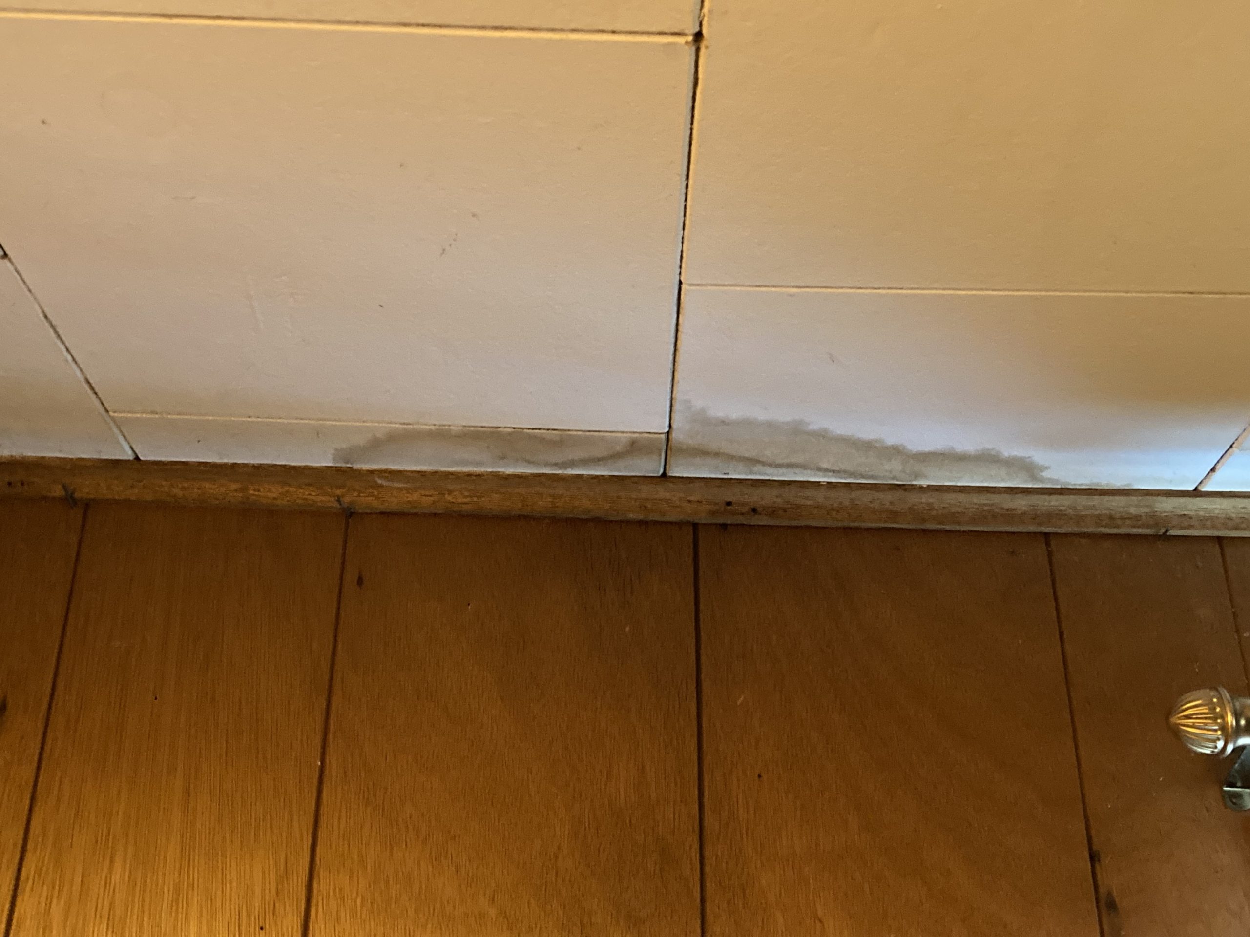 Is it safe to live in a house with mold? 5 Microns Inc