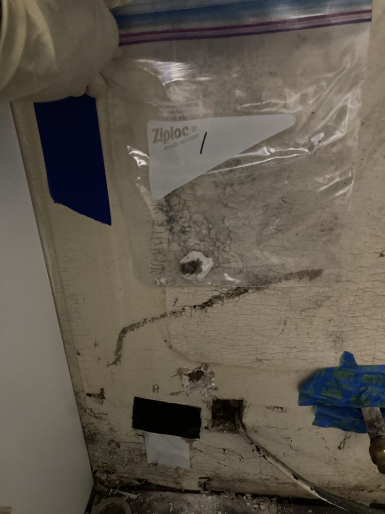 Would a home built in 1900 have asbestos? 5 Microns Inc